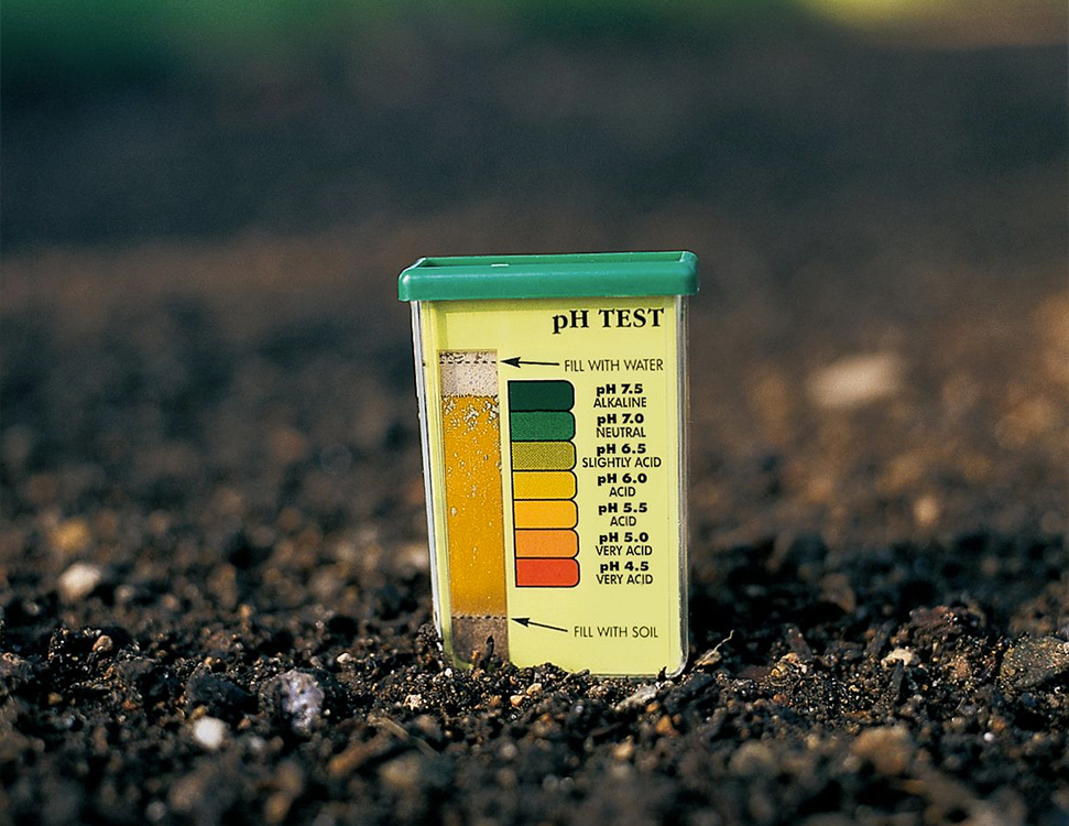 Yak Zniziti Kislotnist Gruntu