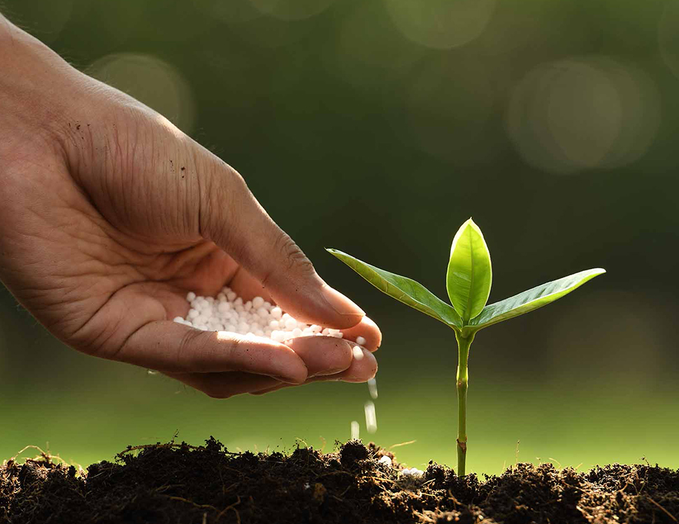 Shho Take Mineralni Dobriva