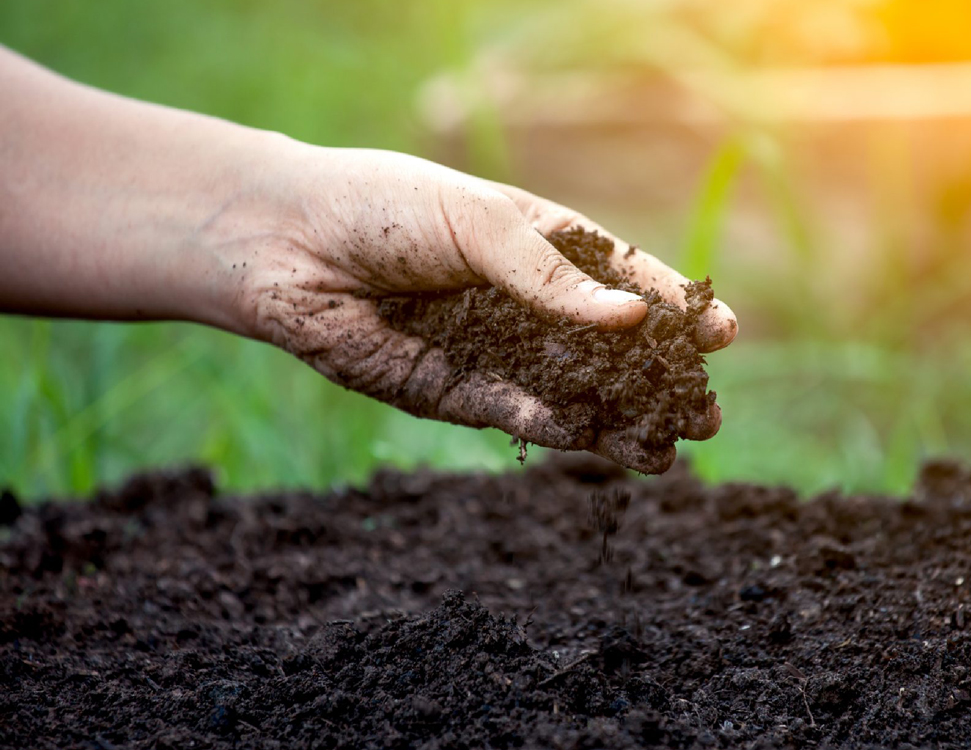 Granulovaniy Vapnyak Voseni Chi Naves