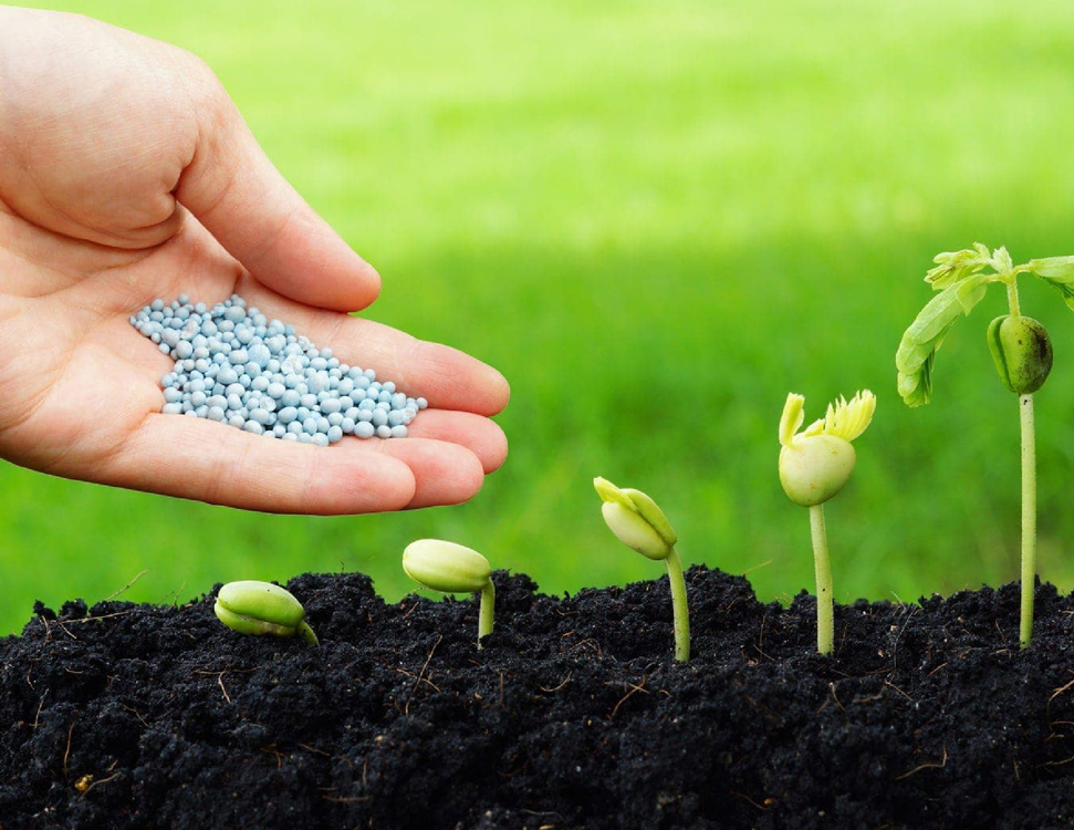 Yak Pravilno Vnositi Granulovaniy