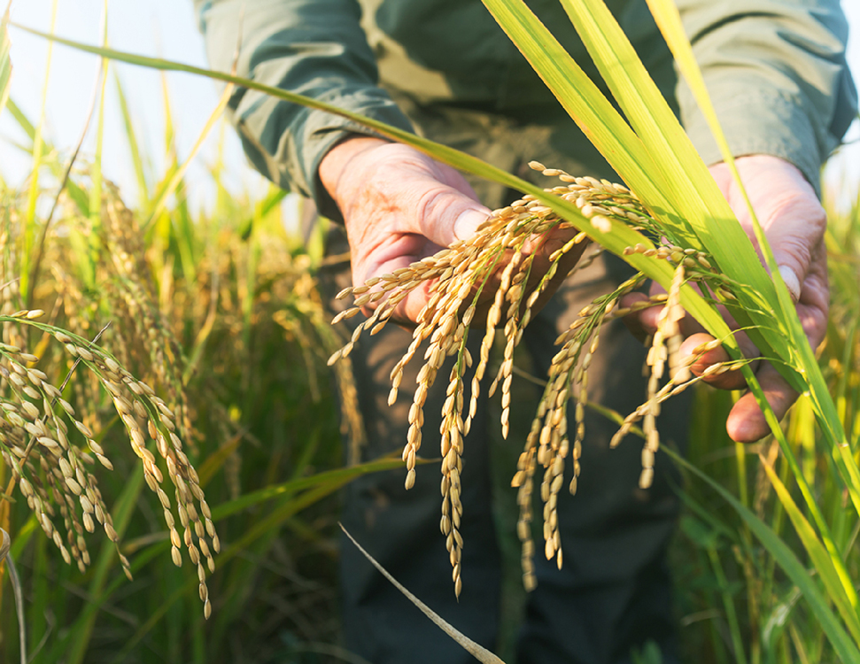 Yak Pidvishhiti Vrozhaynist