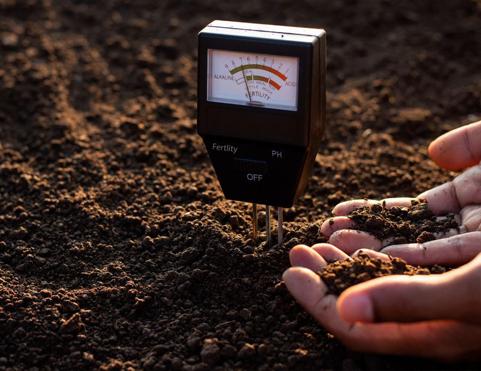 Neytralizaciya Kislotnosti Gruntu